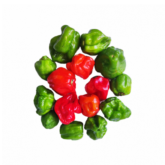 Imagen de Ají cachucha El Japones (454 g / 1 lb)